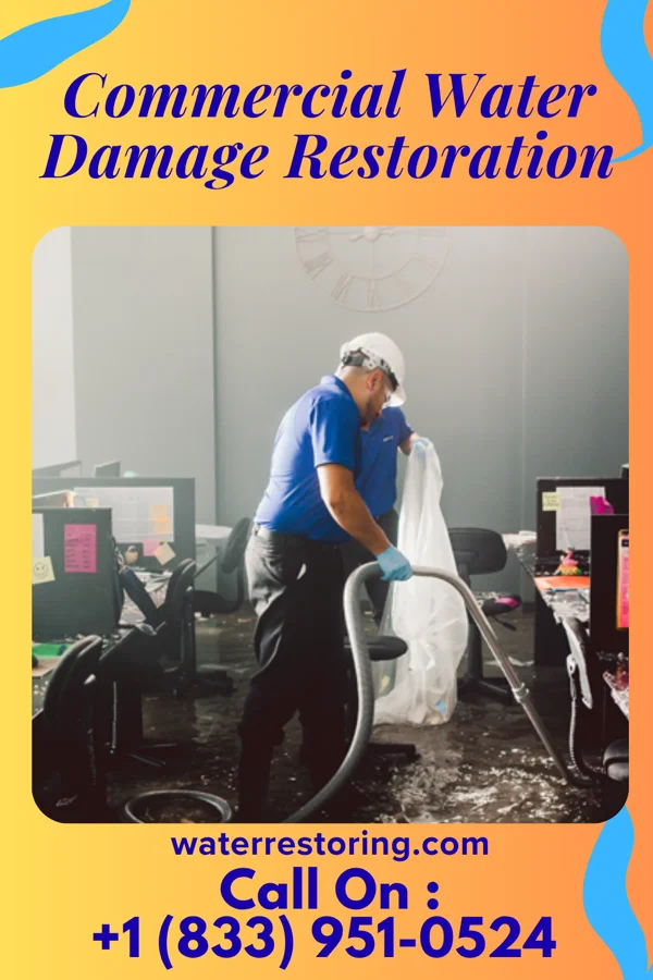 Commercial Water Damage Restoration in Lovington, NM